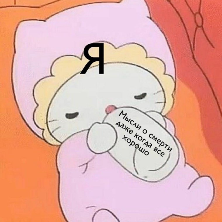 Милые мемы