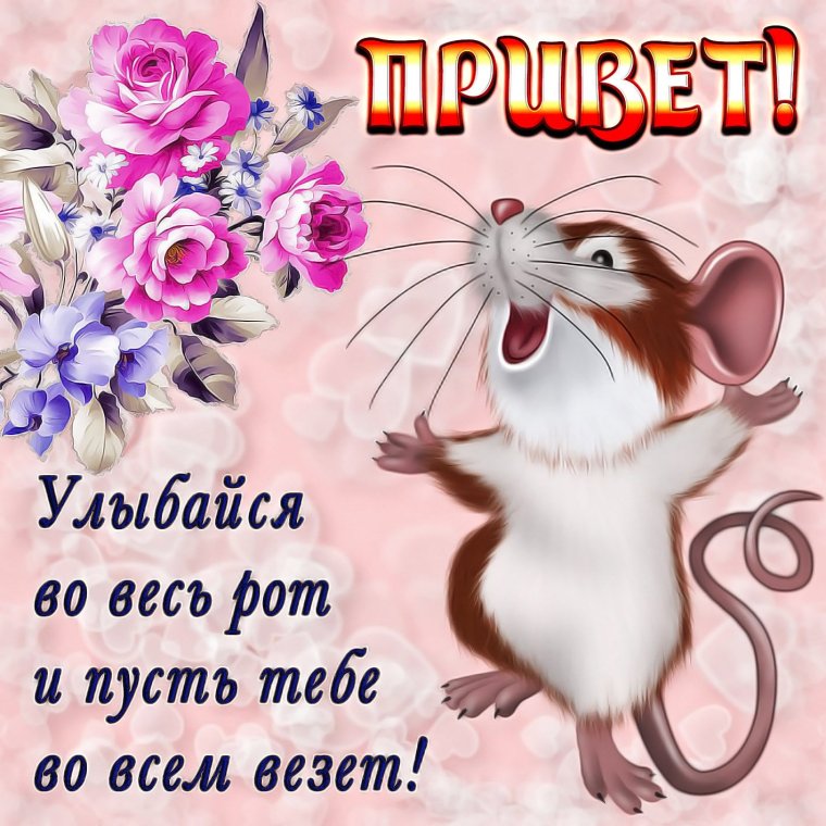 Доброе утро пятницы