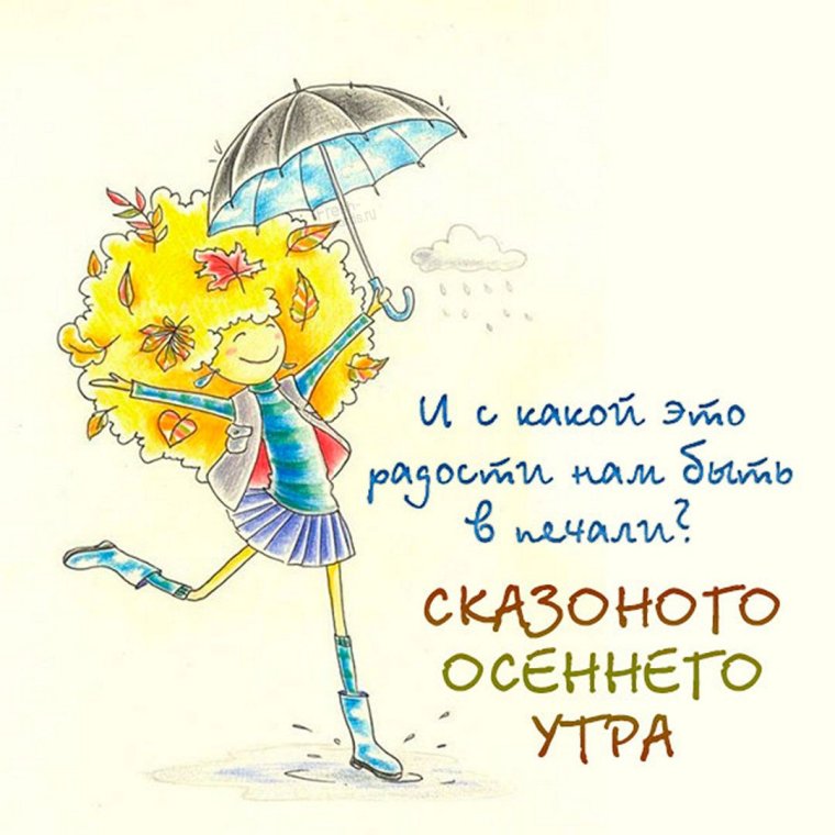 Хорошего вечера и настроения прикольные