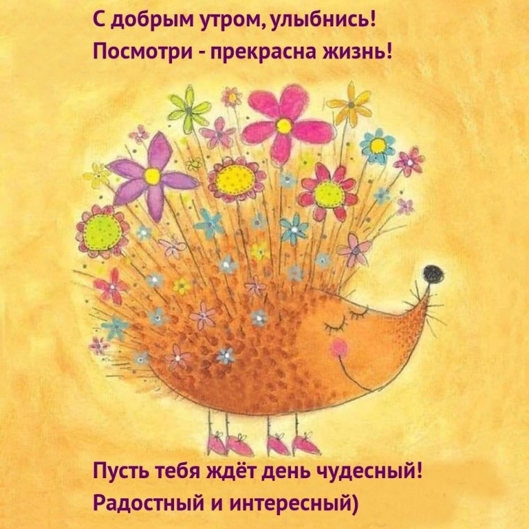 Забавные открытки