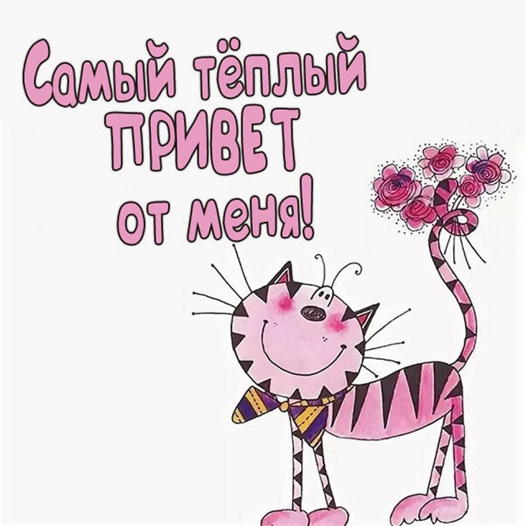 Кот завтрак в постель