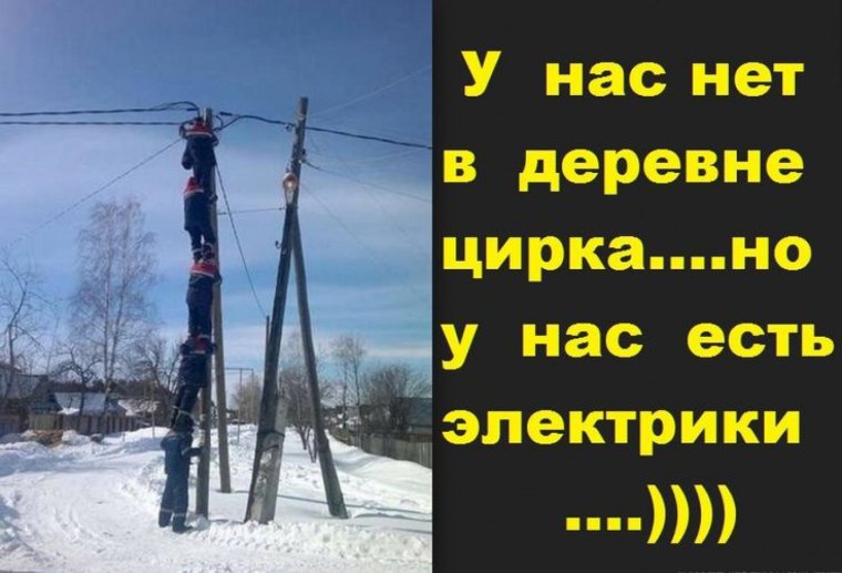 Премия Дарвина