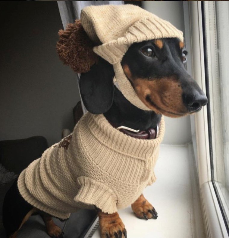 Закутаться в свитер