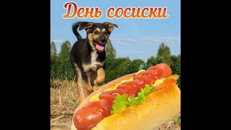 День сосиски открытки