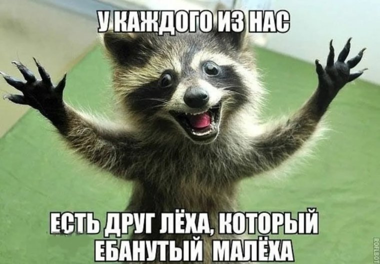 Мемы про Никиту