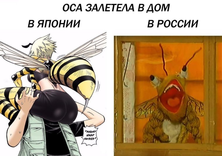 Залетела Оса