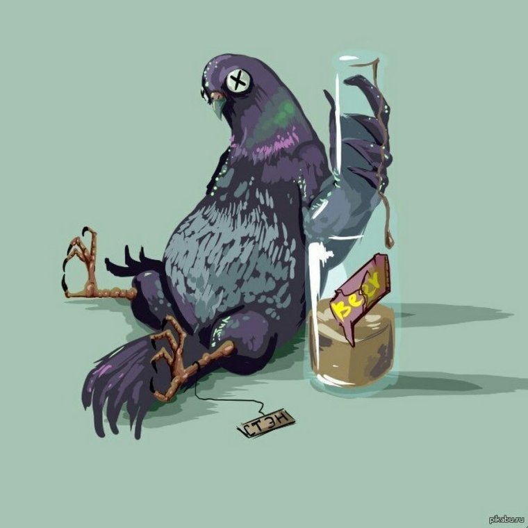 Голубь Наташа