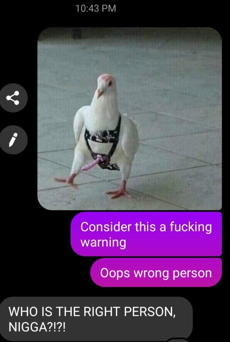 Готовь очко Мем с попугаем