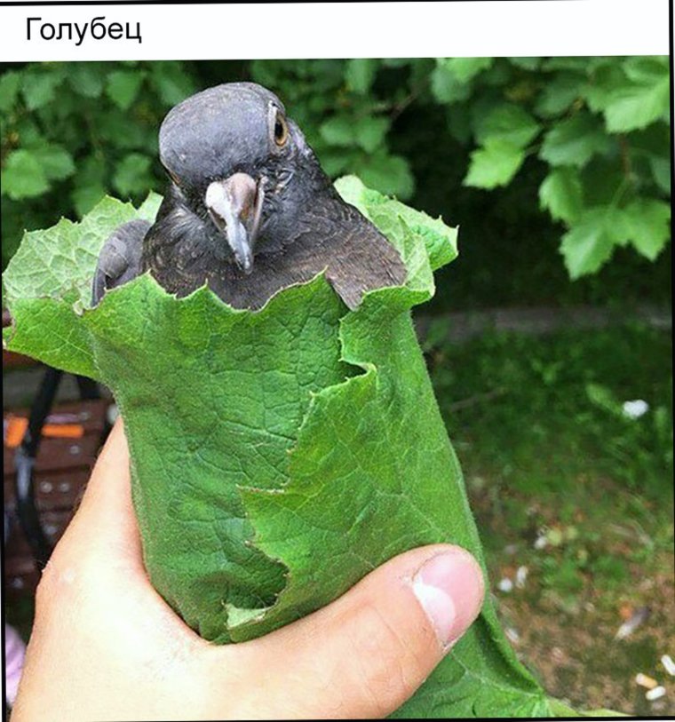 Мастерская Андрея Позднышева