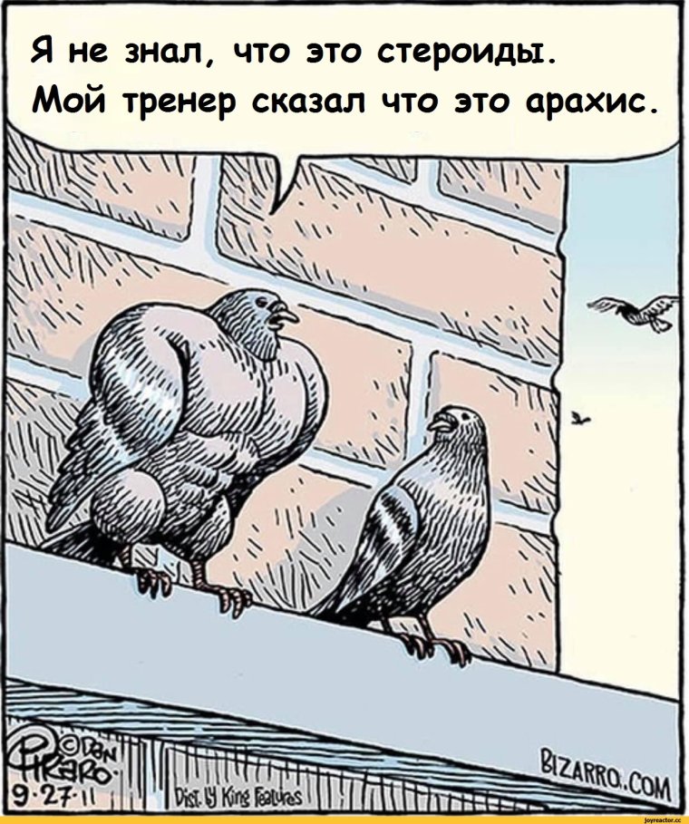 Месть голубям комикс