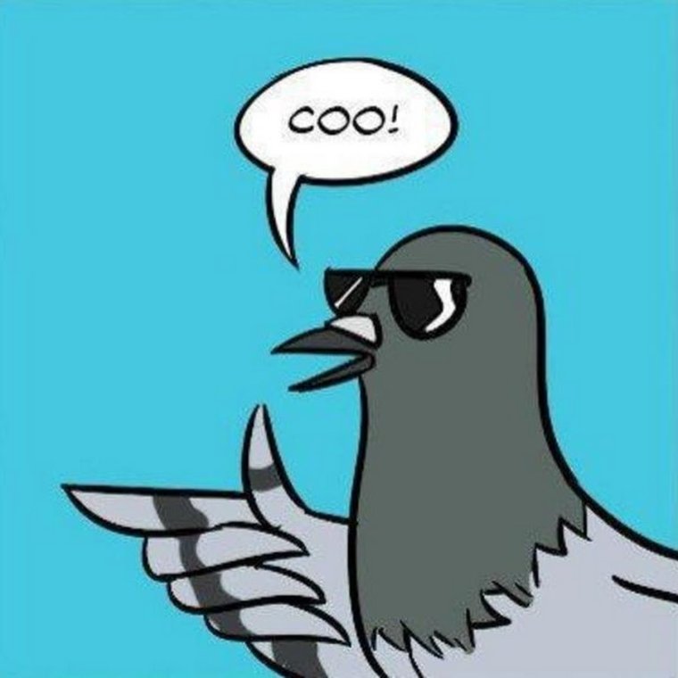 Голубь рисунок смешной