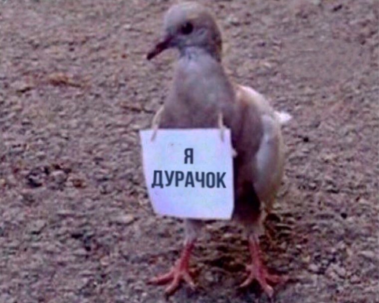 Я дурачок Мем