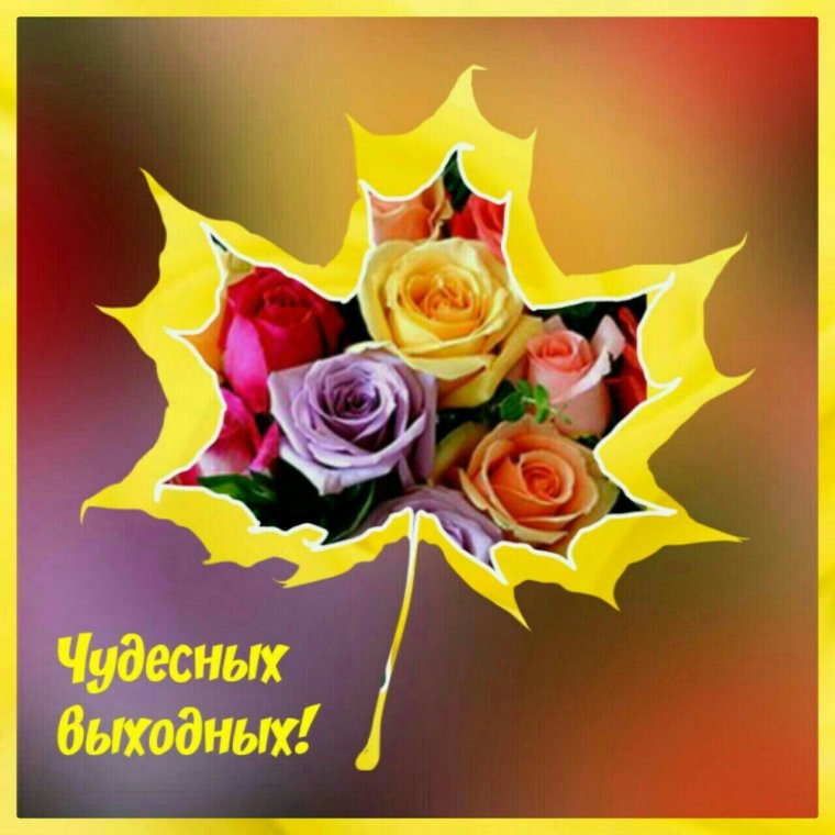 Утро доброе Светлана Рублёвская