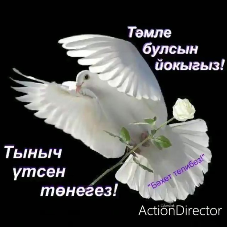 Открытки доброй ночи на татарском языке