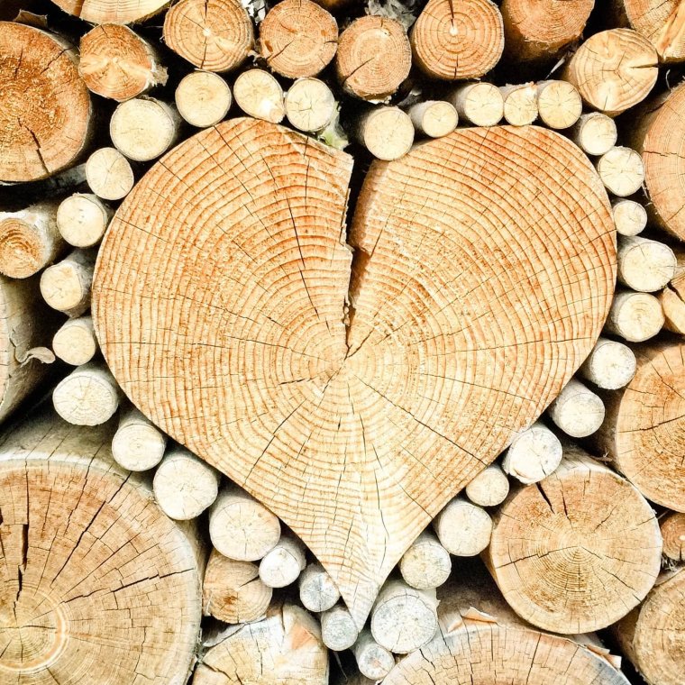 С деревянной свадьбой Буратино