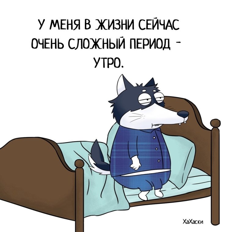 Доброе утро юмор