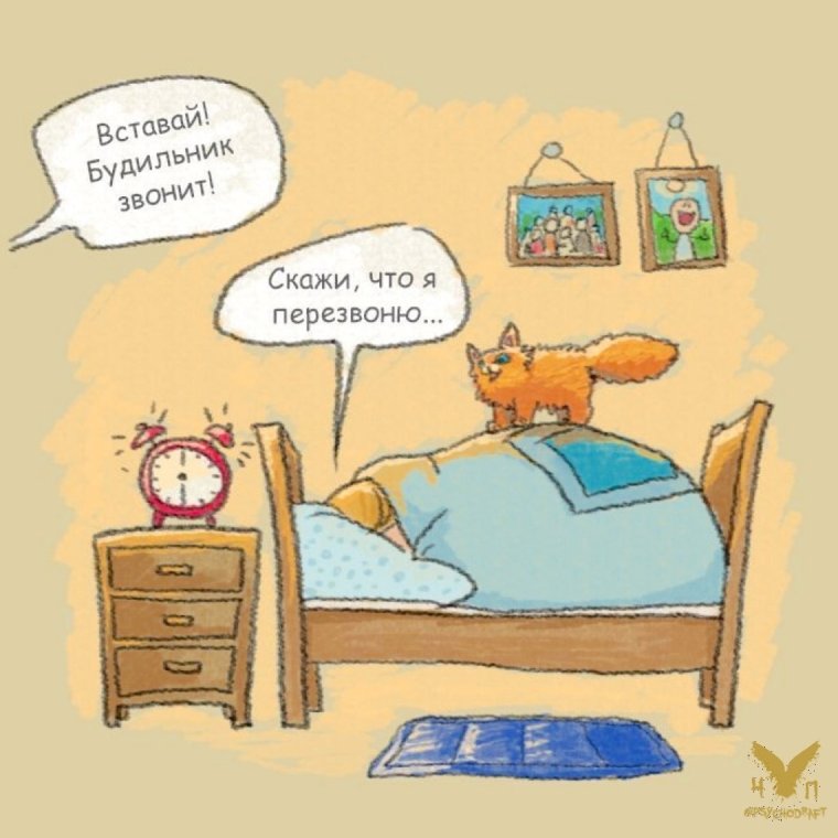 Утро прикол