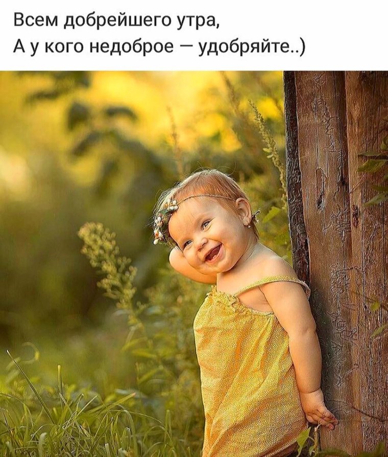 Смешные утренние высказывания