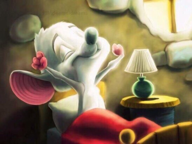 Кошка смеется