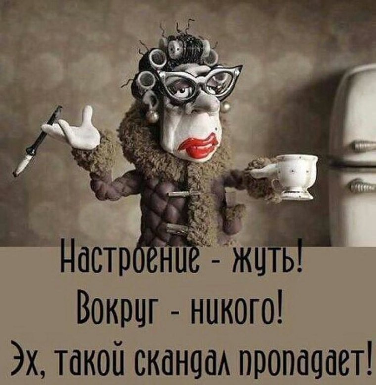 Пожелания доброго дня с юмором