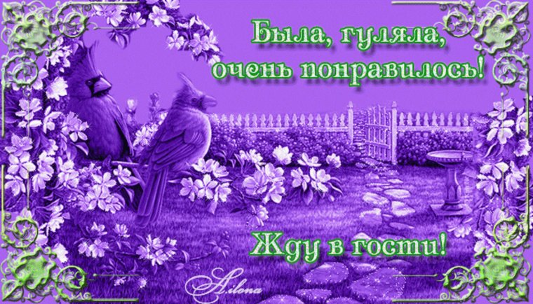 Новогодняя открытка с авокадо