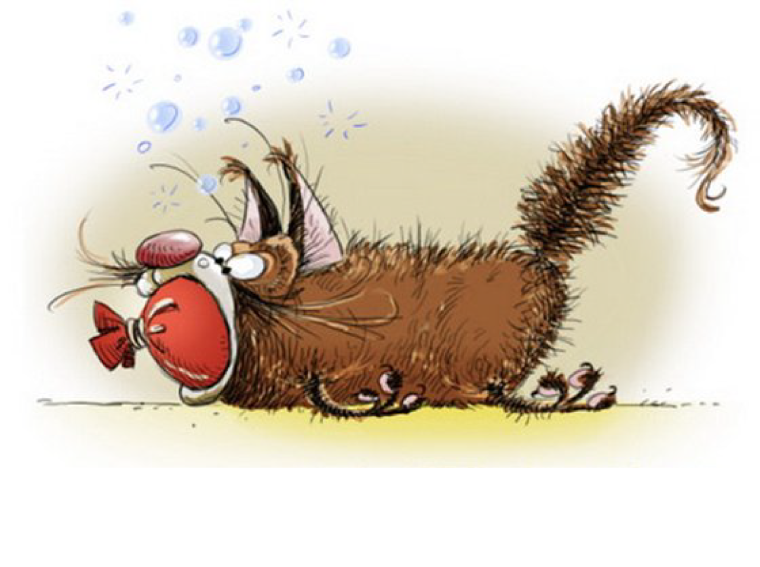 Забавные открытки