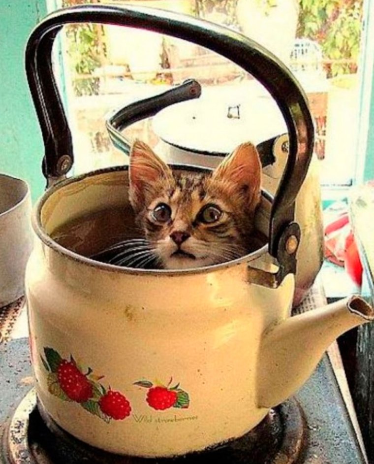 Нестандартные чайники