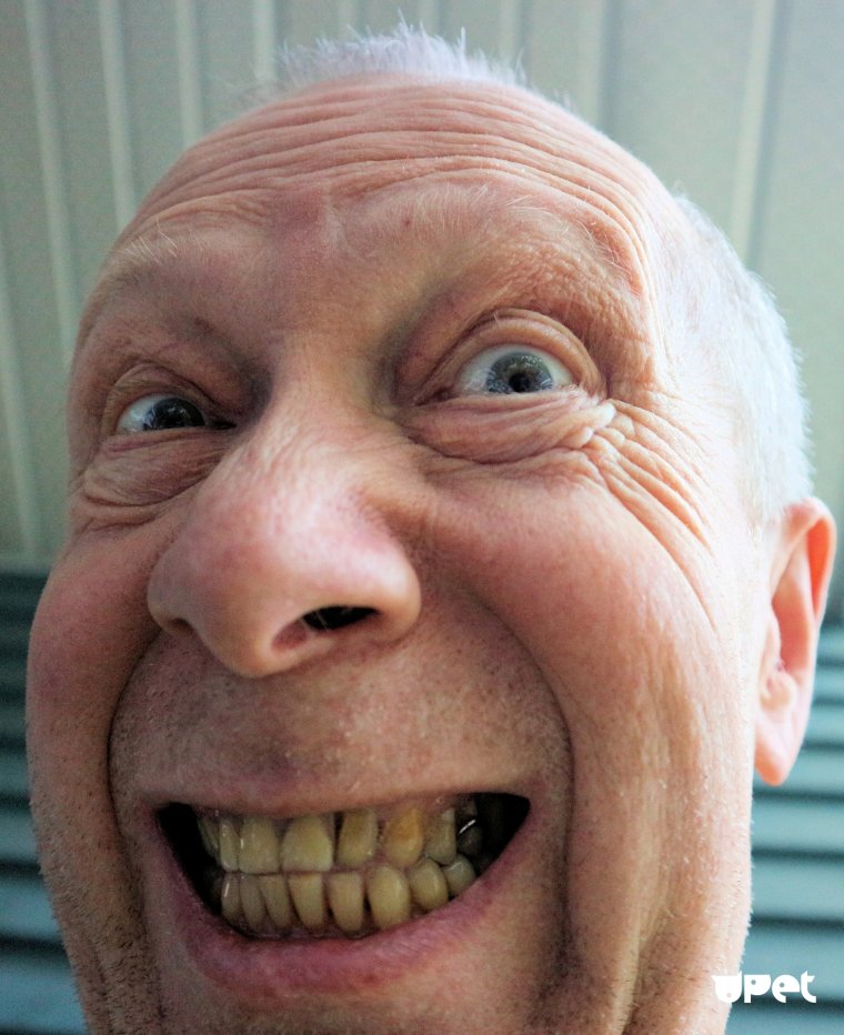 Мистер Бин 2015