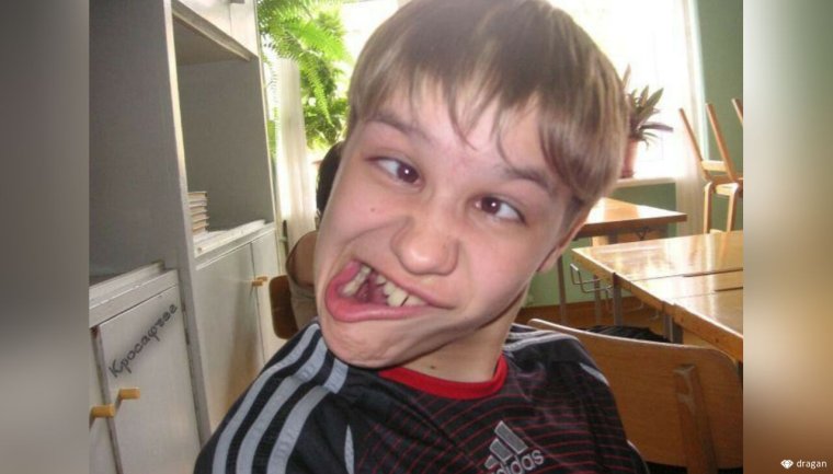 Тупые рожи животных