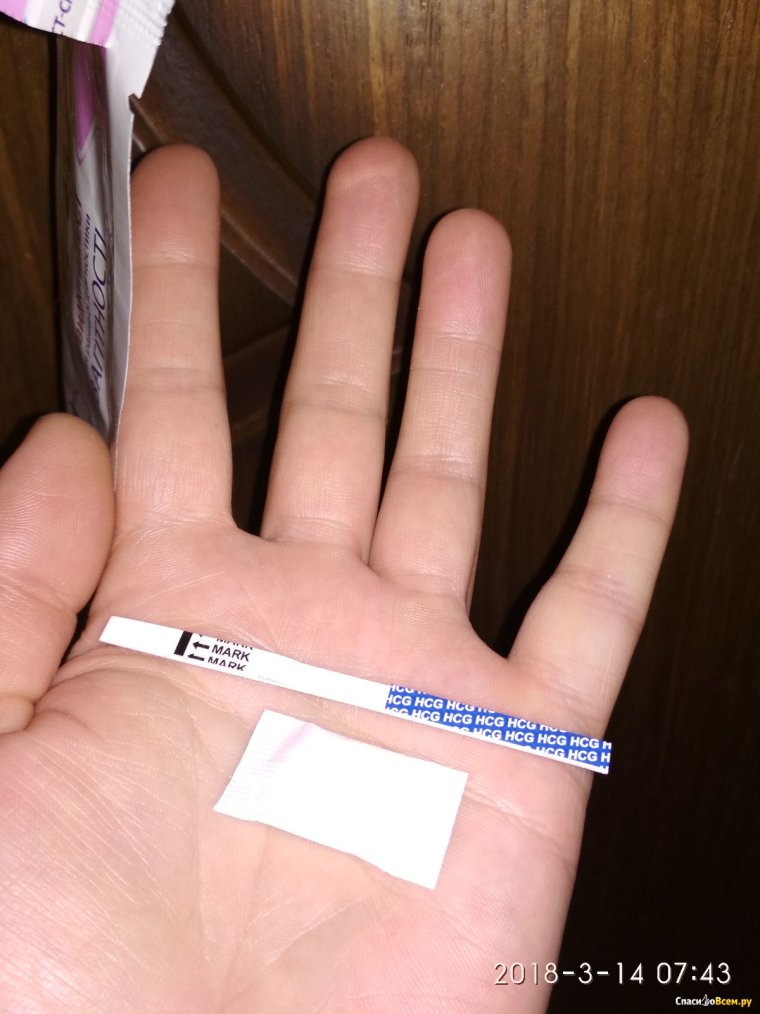 Положительный тест на беременность