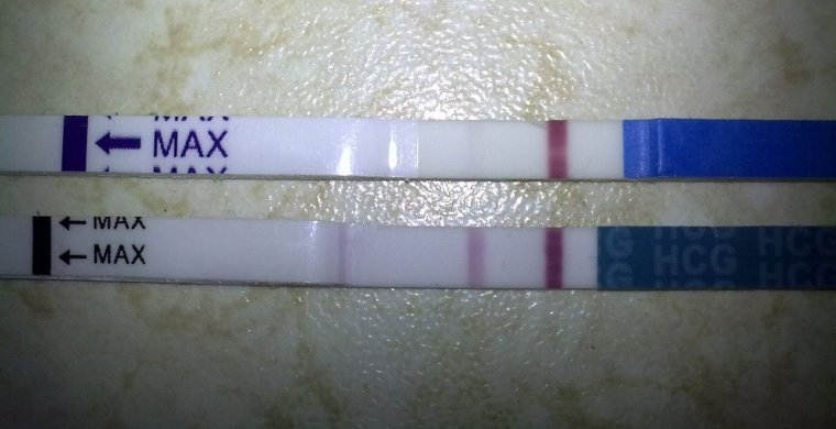 Тест на беременность карикатура