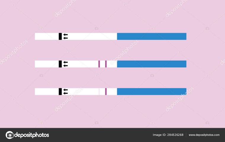 Тест на беременность 2 красные полоски