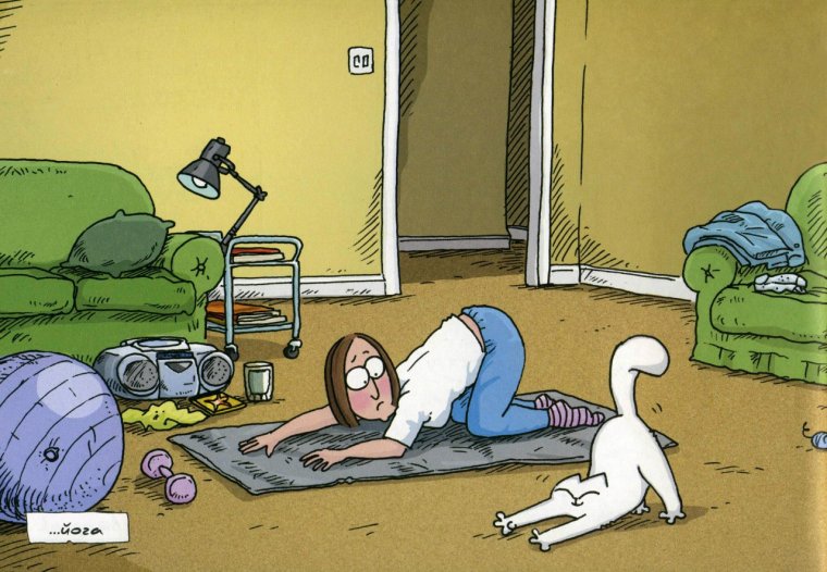 Карикатуры про йогу