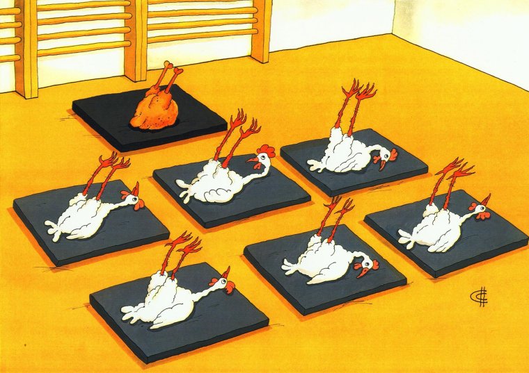 Йога карикатура