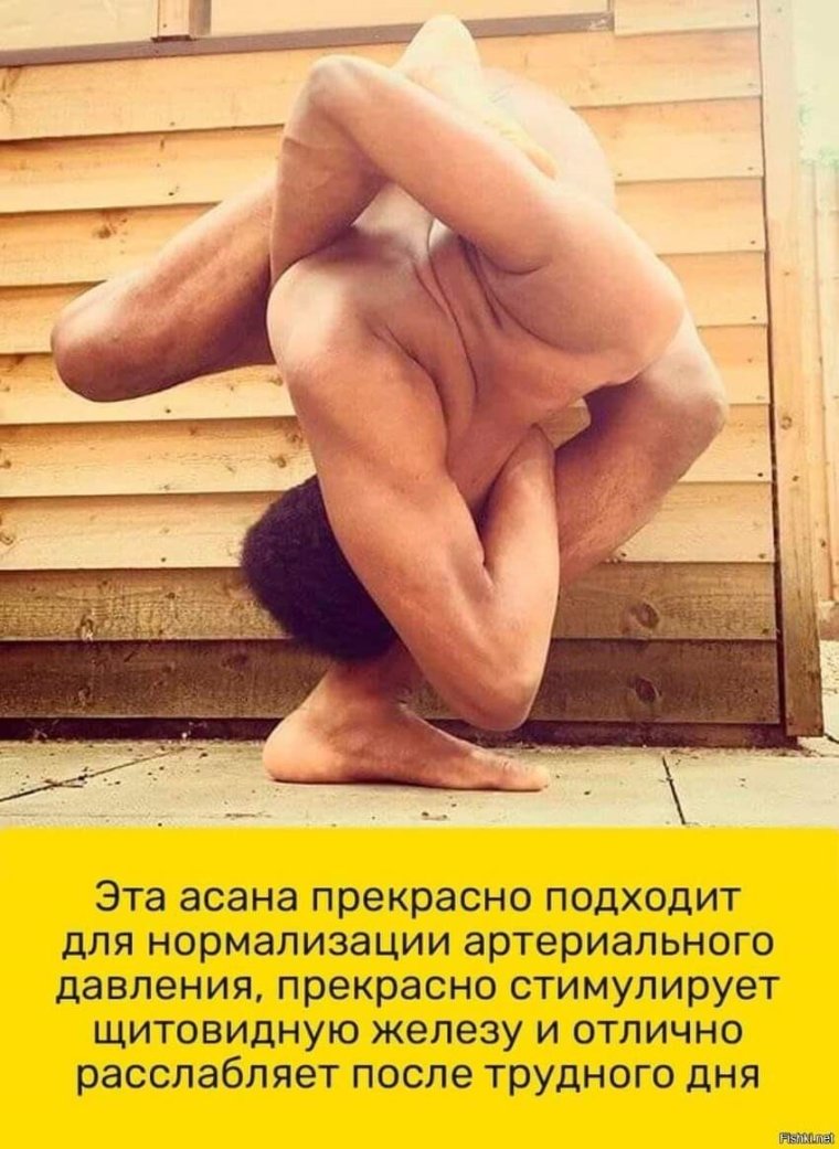 Приколы про позы