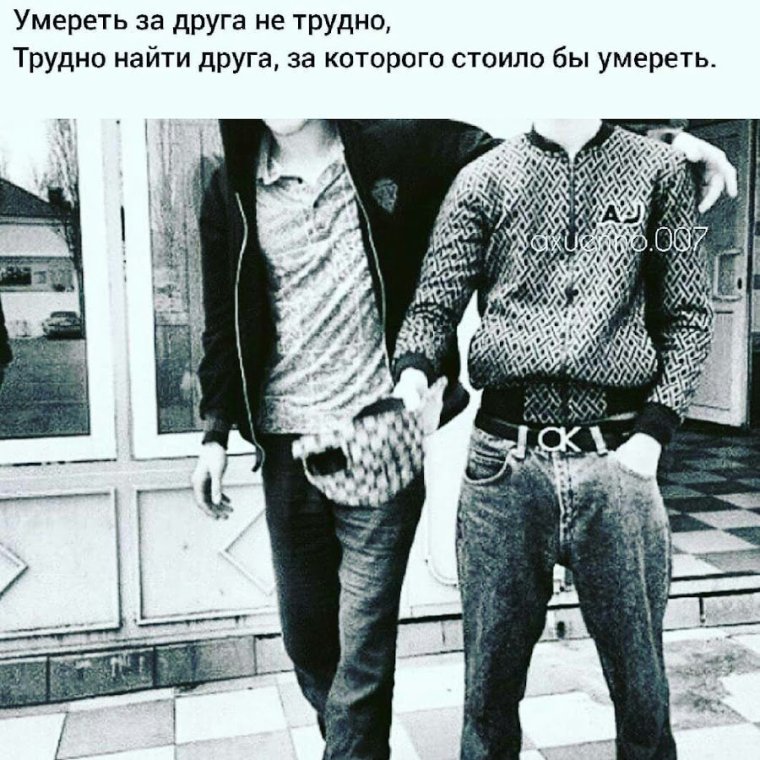Друзья бродяги