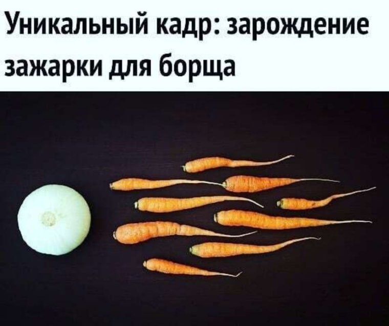 Зарождение борща