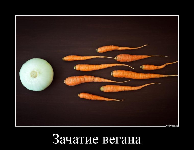 Понедельник демотиваторы