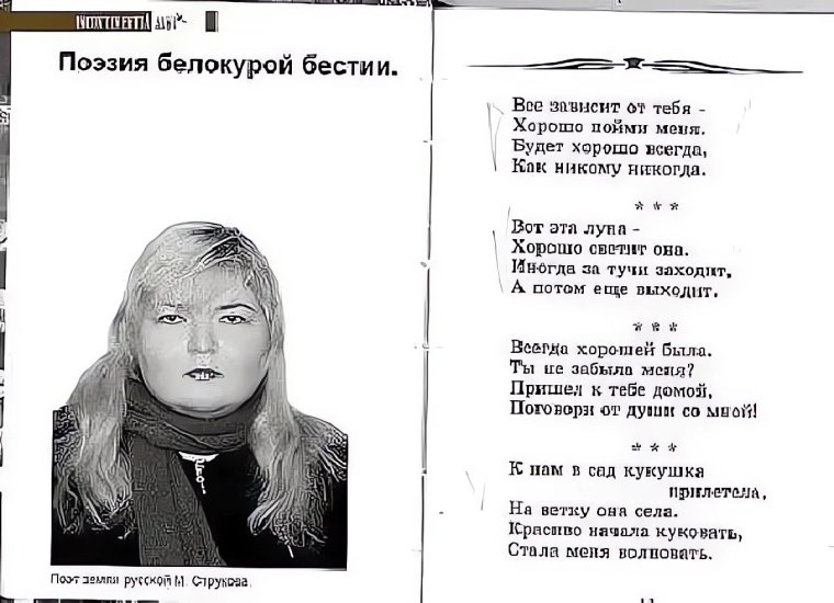 Поэт земли русской м Струкова