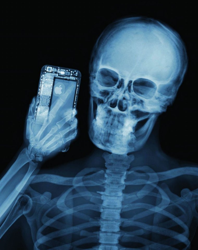 Nick Veasey (x-ray Photography)