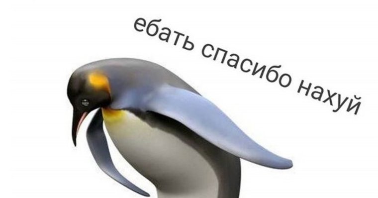 Пингвин спасибо