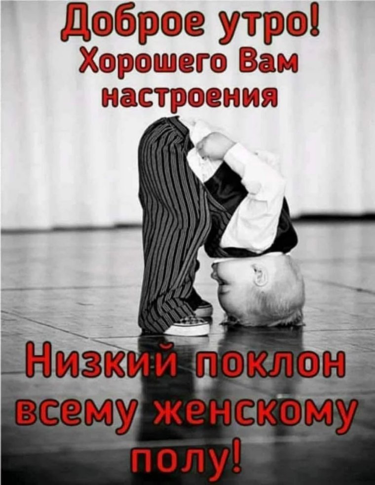 Низкий вам поклон