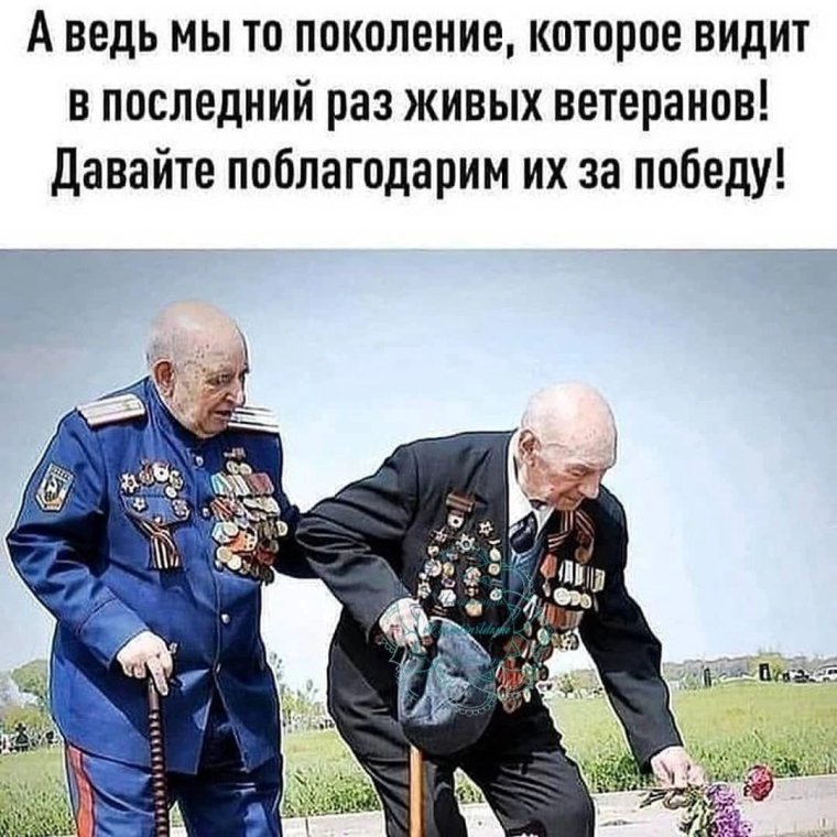 Низкий поклон вам ветераны