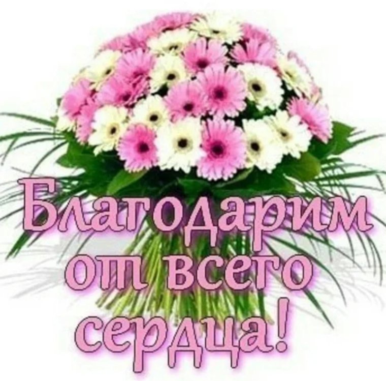 Спасибо за ваш труд