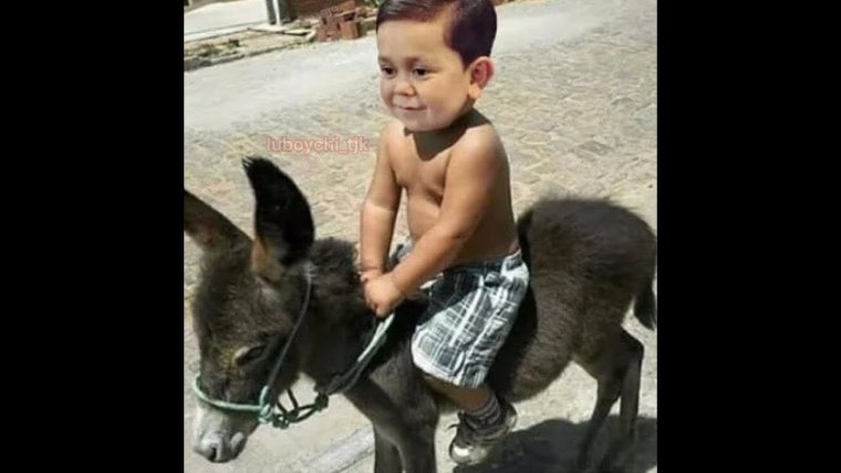 Приколи точики