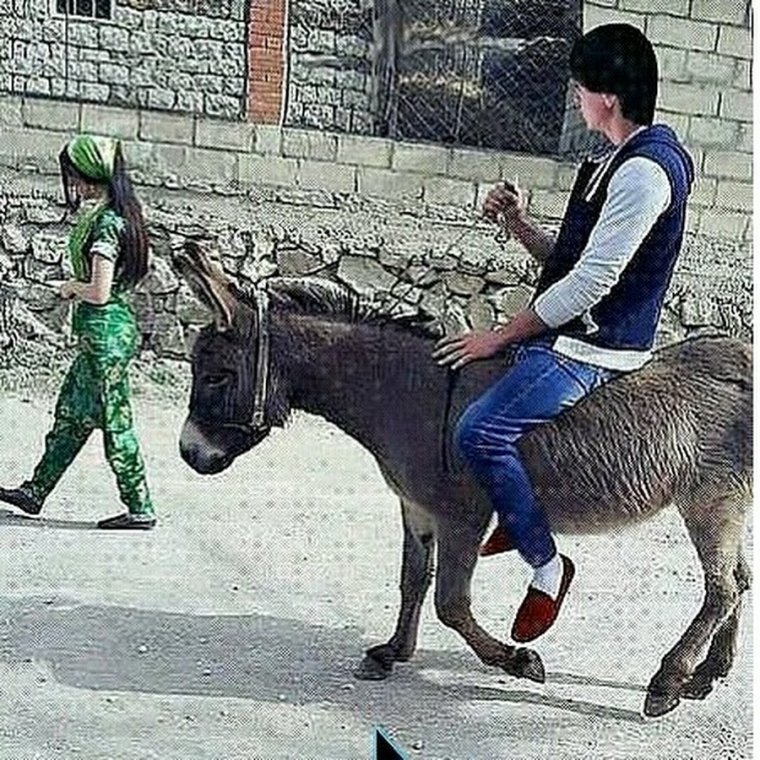 Мужик на осле