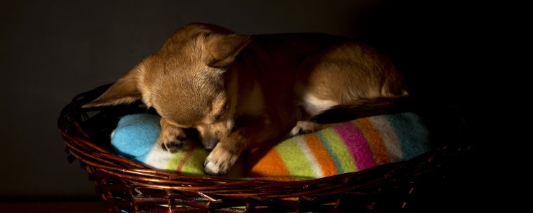Спокойной ночи завтра воскресенье прикольные