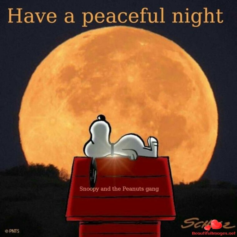 Good Night смешные