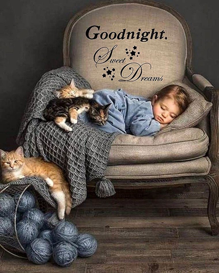 Доброй ночи дети