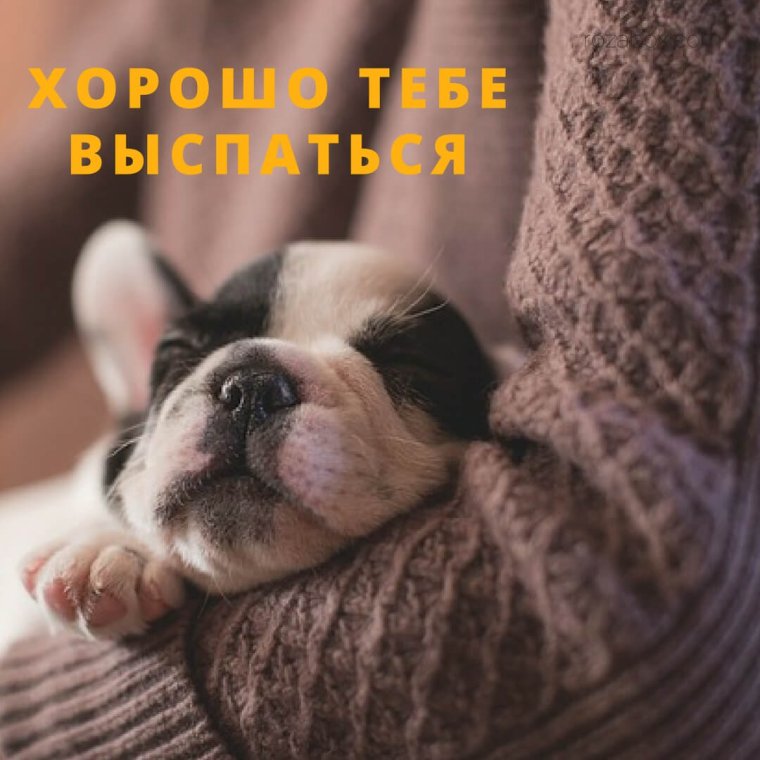 Хорошо выспаться и отдохнуть